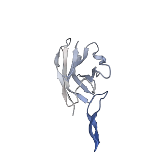 22848_7kfb_G_v1-0
Ebola virus GP (mucin deleted, Makona strain) bound to antibody Fab EBOV-442