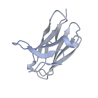 22848_7kfb_J_v1-0
Ebola virus GP (mucin deleted, Makona strain) bound to antibody Fab EBOV-442
