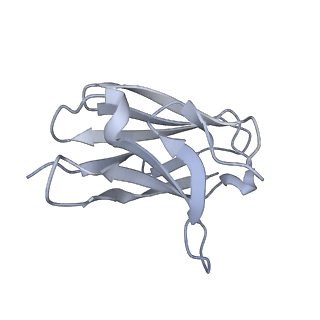 22848_7kfb_K_v1-0
Ebola virus GP (mucin deleted, Makona strain) bound to antibody Fab EBOV-442