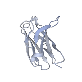 22848_7kfb_L_v1-0
Ebola virus GP (mucin deleted, Makona strain) bound to antibody Fab EBOV-442