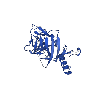 22853_7kfh_A_v1-0
Ebola virus GP (mucin deleted, Makona strain) bound to antibody Fab EBOV-437
