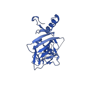 22853_7kfh_B_v1-0
Ebola virus GP (mucin deleted, Makona strain) bound to antibody Fab EBOV-437