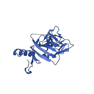 22853_7kfh_C_v1-0
Ebola virus GP (mucin deleted, Makona strain) bound to antibody Fab EBOV-437