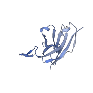22853_7kfh_I_v1-0
Ebola virus GP (mucin deleted, Makona strain) bound to antibody Fab EBOV-437