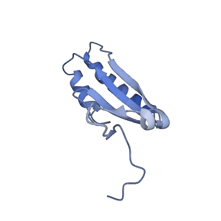 22855_7kft_B_v1-2
Partial Cas6-RT-Cas1--Cas2 complex