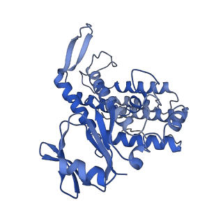 22855_7kft_D_v1-2
Partial Cas6-RT-Cas1--Cas2 complex