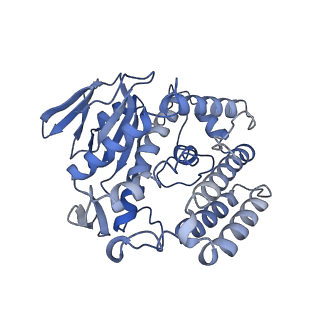 22855_7kft_E_v1-2
Partial Cas6-RT-Cas1--Cas2 complex