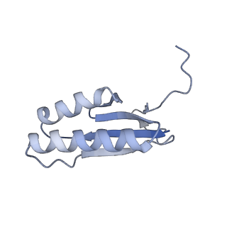 22856_7kfu_A_v1-2
Cas6-RT-Cas1--Cas2 complex