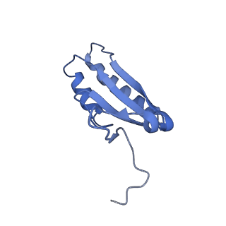 22856_7kfu_B_v1-2
Cas6-RT-Cas1--Cas2 complex