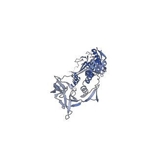 37203_8kfa_A_v1-0
Cryo-EM structure of HSV-1 gB with D48 Fab complex