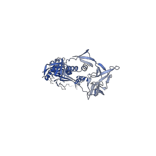 37203_8kfa_C_v1-0
Cryo-EM structure of HSV-1 gB with D48 Fab complex