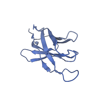 37203_8kfa_E_v1-0
Cryo-EM structure of HSV-1 gB with D48 Fab complex