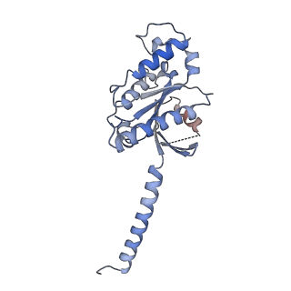 37207_8kfx_A_v1-1
Gi bound CCR8 complex with nonpeptide agonist LMD-009