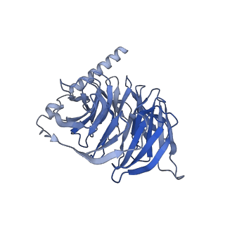 37207_8kfx_B_v1-1
Gi bound CCR8 complex with nonpeptide agonist LMD-009