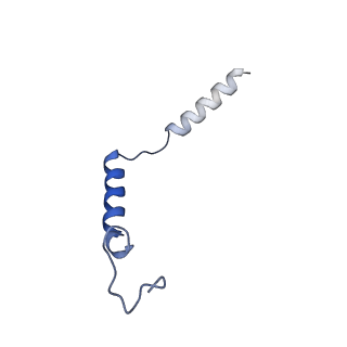 37207_8kfx_C_v1-1
Gi bound CCR8 complex with nonpeptide agonist LMD-009