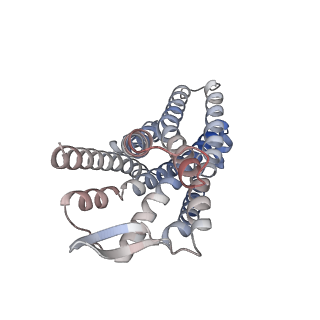 37207_8kfx_R_v1-1
Gi bound CCR8 complex with nonpeptide agonist LMD-009