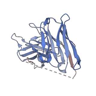 37207_8kfx_S_v1-1
Gi bound CCR8 complex with nonpeptide agonist LMD-009