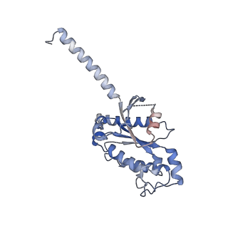 37208_8kfy_A_v1-1
Gi bound CCR8 complex with nonpeptide agonist ZK 756326