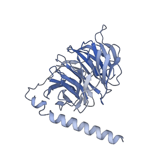 37208_8kfy_B_v1-1
Gi bound CCR8 complex with nonpeptide agonist ZK 756326