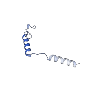 37208_8kfy_C_v1-1
Gi bound CCR8 complex with nonpeptide agonist ZK 756326