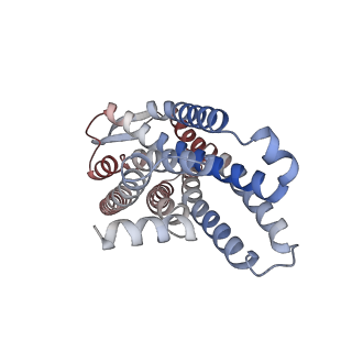 37208_8kfy_R_v1-1
Gi bound CCR8 complex with nonpeptide agonist ZK 756326