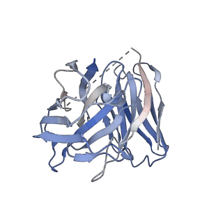 37208_8kfy_S_v1-1
Gi bound CCR8 complex with nonpeptide agonist ZK 756326