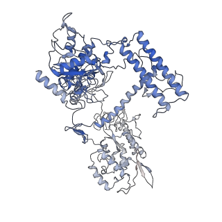 9960_6kf3_A_v1-2
Cryo-EM structure of Thermococcus kodakarensis RNA polymerase