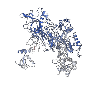 9960_6kf3_B_v1-2
Cryo-EM structure of Thermococcus kodakarensis RNA polymerase