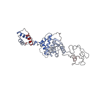 9960_6kf3_C_v1-2
Cryo-EM structure of Thermococcus kodakarensis RNA polymerase