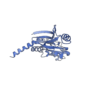 9960_6kf3_D_v1-2
Cryo-EM structure of Thermococcus kodakarensis RNA polymerase