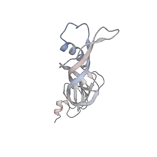 9960_6kf3_E_v1-2
Cryo-EM structure of Thermococcus kodakarensis RNA polymerase
