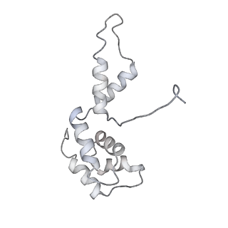 9960_6kf3_F_v1-2
Cryo-EM structure of Thermococcus kodakarensis RNA polymerase