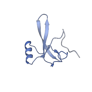 9960_6kf3_H_v1-2
Cryo-EM structure of Thermococcus kodakarensis RNA polymerase