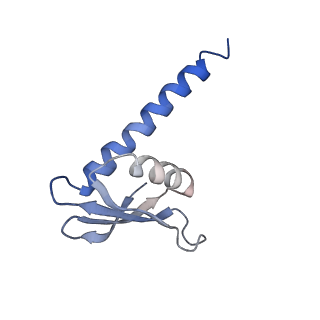 9960_6kf3_L_v1-2
Cryo-EM structure of Thermococcus kodakarensis RNA polymerase