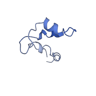 9960_6kf3_N_v1-2
Cryo-EM structure of Thermococcus kodakarensis RNA polymerase