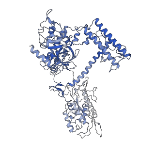 9961_6kf4_A_v1-3
Cryo-EM structure of Thermococcus kodakarensis RNA polymerase