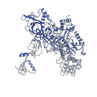 9961_6kf4_B_v1-3
Cryo-EM structure of Thermococcus kodakarensis RNA polymerase
