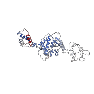 9961_6kf4_C_v1-3
Cryo-EM structure of Thermococcus kodakarensis RNA polymerase