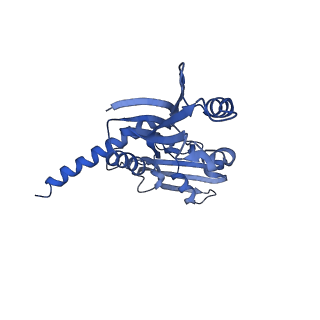 9961_6kf4_D_v1-3
Cryo-EM structure of Thermococcus kodakarensis RNA polymerase