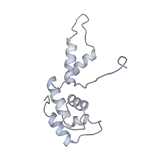 9961_6kf4_F_v1-3
Cryo-EM structure of Thermococcus kodakarensis RNA polymerase