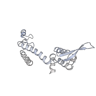 9961_6kf4_G_v1-3
Cryo-EM structure of Thermococcus kodakarensis RNA polymerase