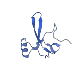 9961_6kf4_H_v1-3
Cryo-EM structure of Thermococcus kodakarensis RNA polymerase