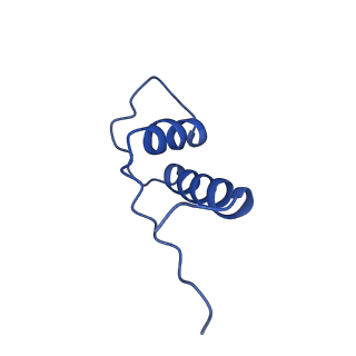 9961_6kf4_K_v1-3
Cryo-EM structure of Thermococcus kodakarensis RNA polymerase