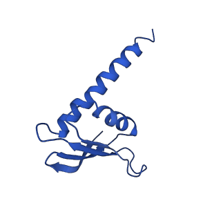9961_6kf4_L_v1-3
Cryo-EM structure of Thermococcus kodakarensis RNA polymerase