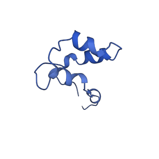 9961_6kf4_N_v1-3
Cryo-EM structure of Thermococcus kodakarensis RNA polymerase