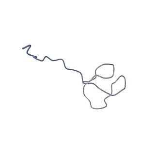 9961_6kf4_P_v1-3
Cryo-EM structure of Thermococcus kodakarensis RNA polymerase
