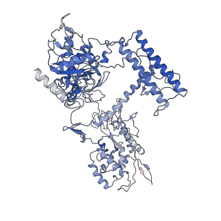 9962_6kf9_A_v1-3
Cryo-EM structure of Thermococcus kodakarensis RNA polymerase