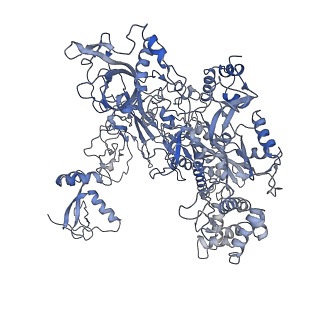 9962_6kf9_B_v1-3
Cryo-EM structure of Thermococcus kodakarensis RNA polymerase