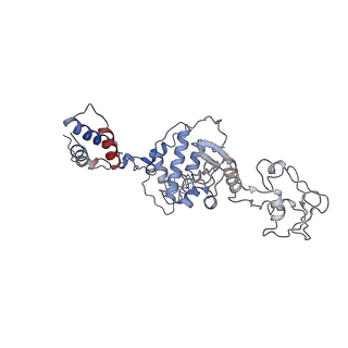 9962_6kf9_C_v1-3
Cryo-EM structure of Thermococcus kodakarensis RNA polymerase