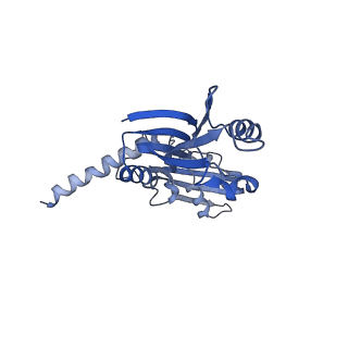 9962_6kf9_D_v1-3
Cryo-EM structure of Thermococcus kodakarensis RNA polymerase